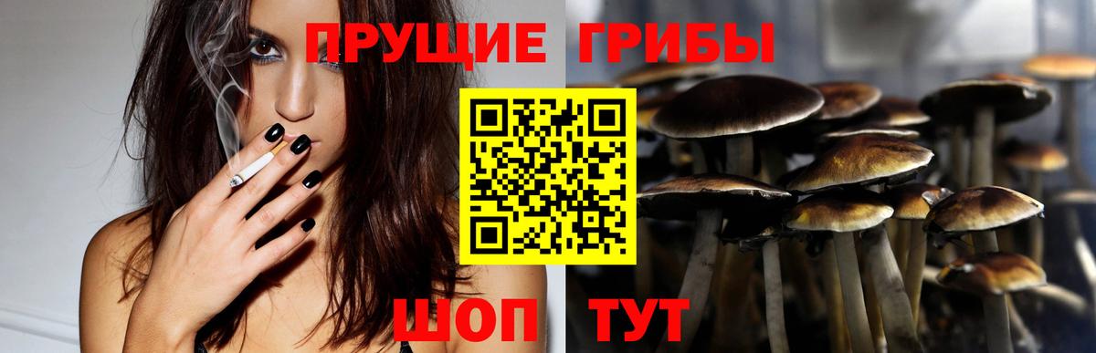 Галлюциногенные грибы ЛСД Славянск-на-Кубани